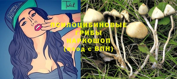 ГАЛЛЮЦИНОГЕННЫЕ ГРИБЫ Волосово