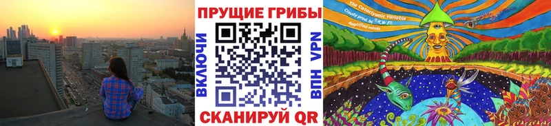 продажа наркотиков Каргат ссылка на мегу ССЫЛКА Галлюциногенные грибы ЛСД